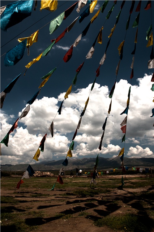 �����ຣ-��������