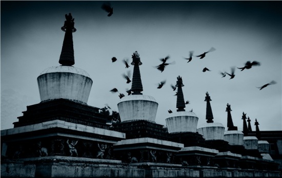 �����ຣ-��������