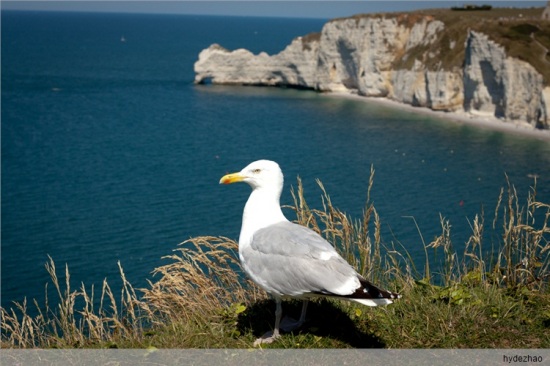 ���ɽ-��Ȼ�羰