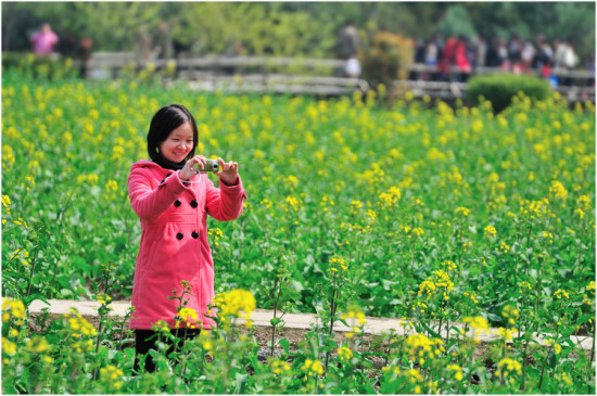 �Ͳ˻���-ֲ�ﻨ��