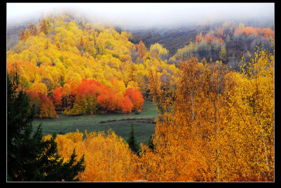 ��ľ��ɫ����ʮ�ģ�-��������