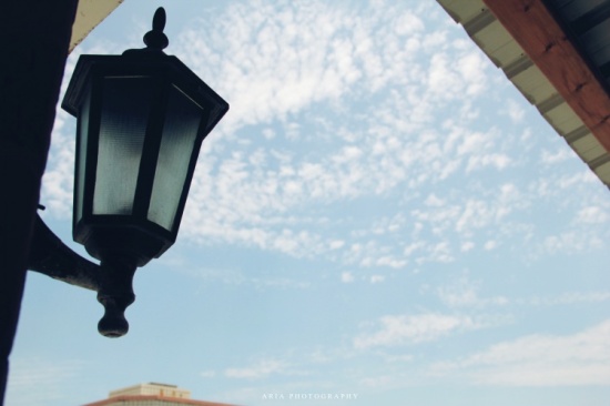 �������������磨���Ȉ���-������Ӱ