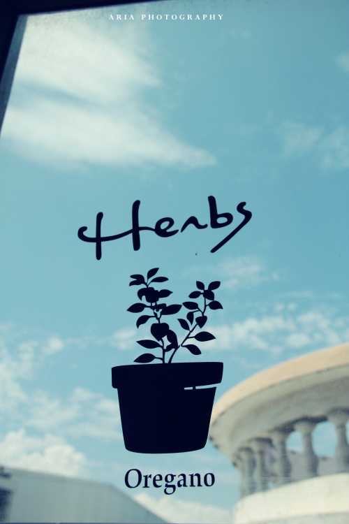 �������������磨���Ȉ���-������Ӱ