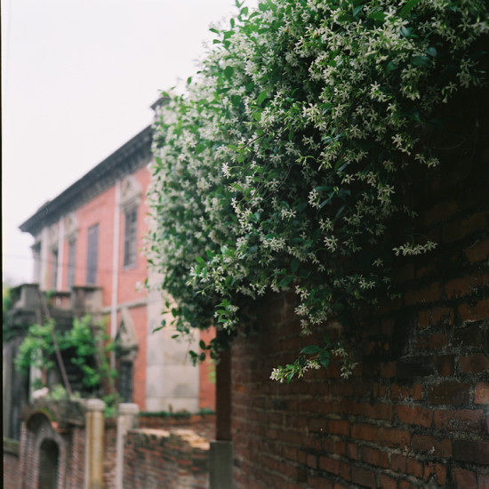 ��������ͼһ-��Ȼ�羰