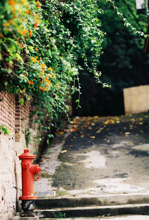 ��������ͼһ-��Ȼ�羰