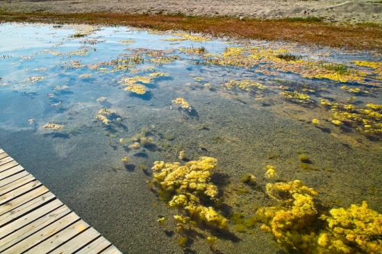 �ຣ��<span class=lxw>[ע: �ຣ������������׶������������ɫ�ĺ���֮�⡣ϵ������ɽ�Ĵ�ͨɽ������ɽ���ຣ��ɽ֮��Ķϲ������γɡ���λ���ຣʡ���������ຣ������ڣ����й�������½��������ˮ����]</span> ���ɽ�-��������