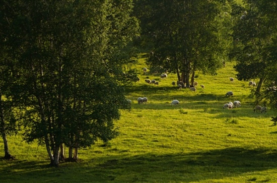 �ļ��İ���02-��������