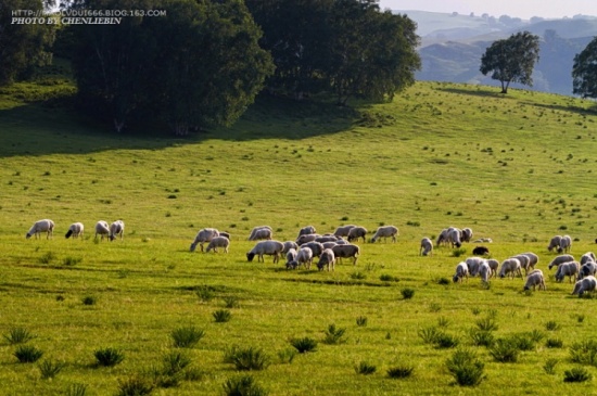 �ļ��İ���02-��������