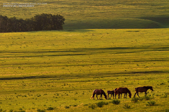 �ļ��İ���02-��������