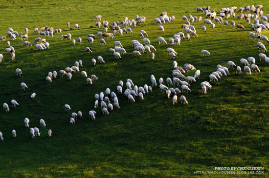 �ļ��İ���02-��������