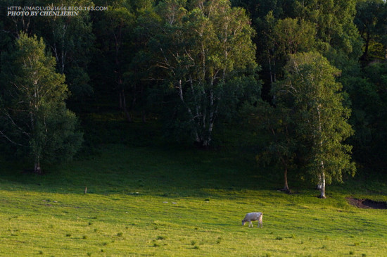 �ļ��İ���02-��������