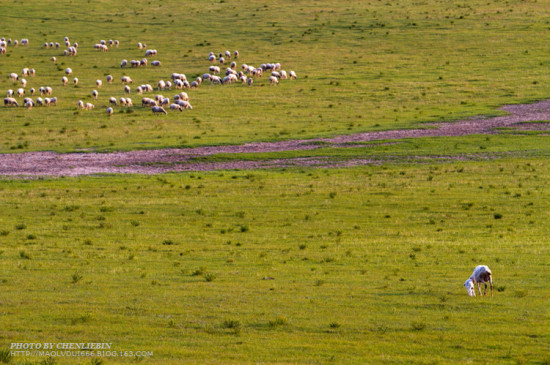 �ļ��İ���02-��������