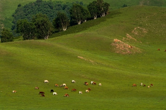 �ļ��İ���02-��������