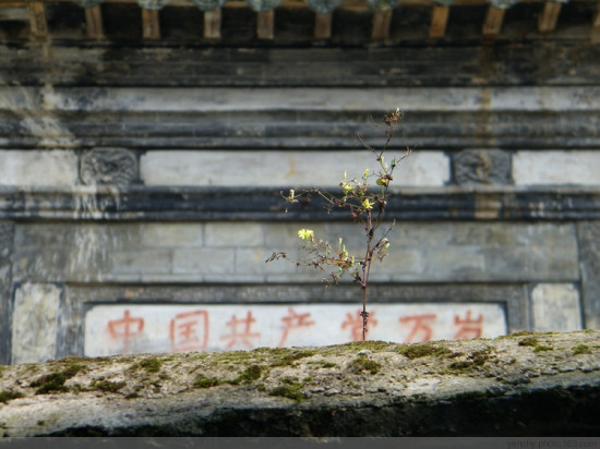 ���ΰ��-��������