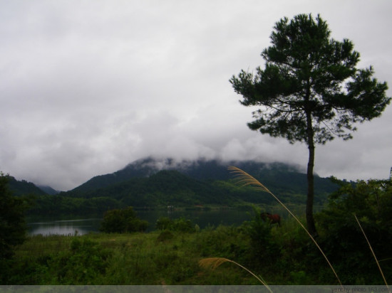 ���ΰ��-��������