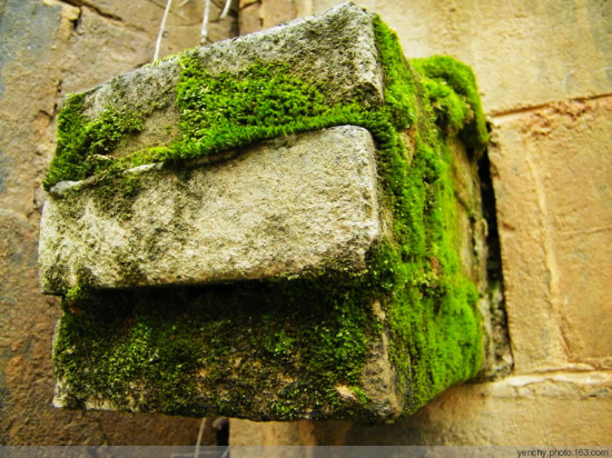 ���ΰ��-��������