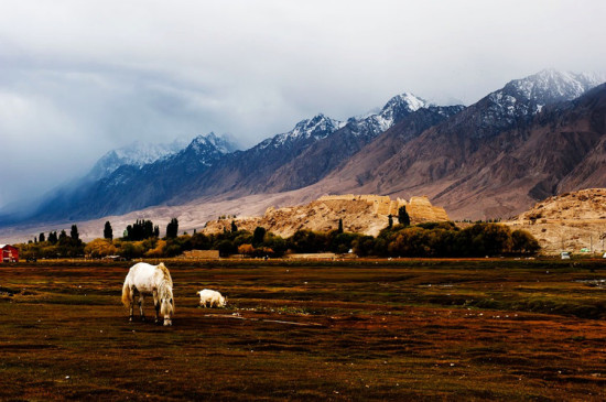 ��ʲ�����--ʯͷ��-��������