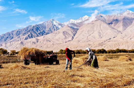 ��ʲ�����--ʯͷ��-��������