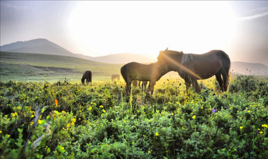 ���Ϸ��-��������