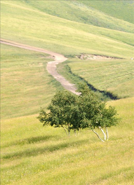 ���Ϸ��-��������