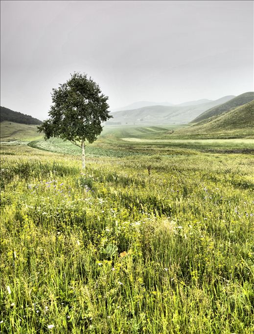 ���Ϸ��-��������