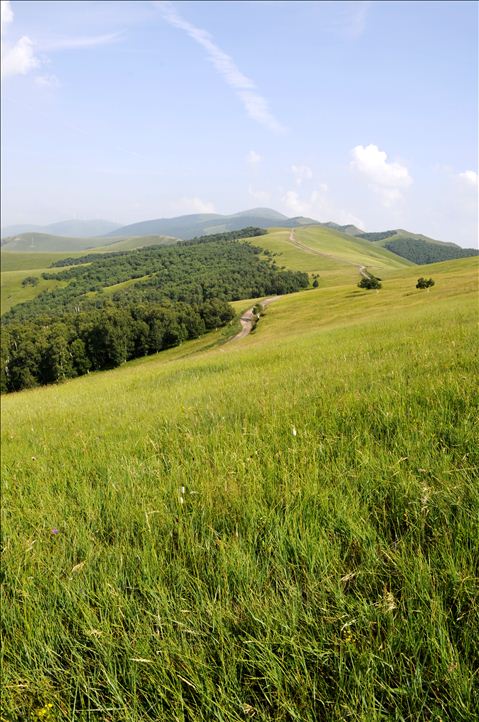 ���Ϸ��-��������