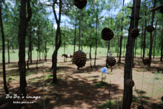 ��������-���ϵ���