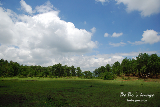 ��������-���ϵ���