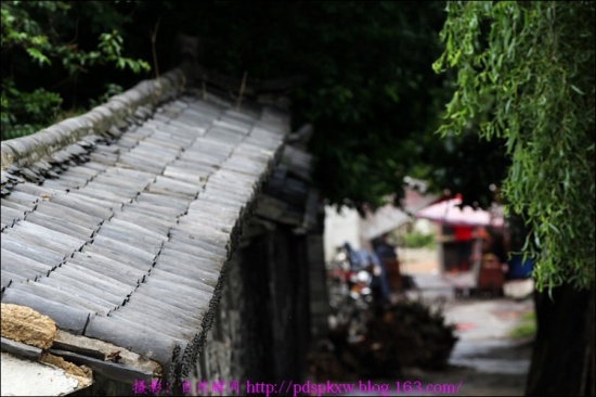 �����ų�-���ϵ���