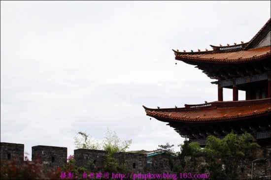 �����ų�-���ϵ���