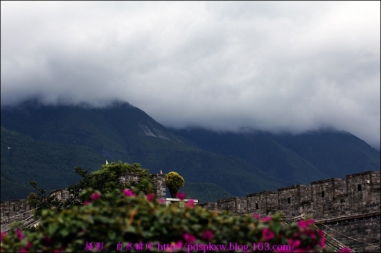 �����ų�-���ϵ���