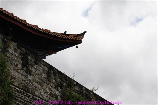 �����ų�-���ϵ���