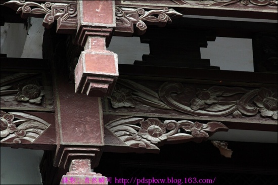 �����ų�-���ϵ���