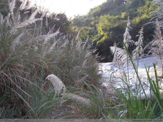 �����-��Ȼ�羰