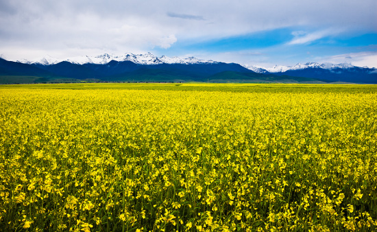 7�������ࡢ�ʡ���-��Ȼ�羰