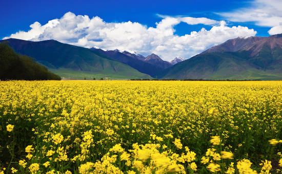 7�������ࡢ�ʡ���-��Ȼ�羰