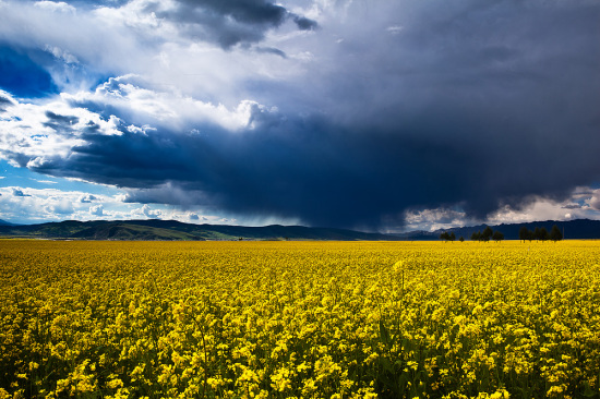 7�������ࡢ�ʡ���-��Ȼ�羰