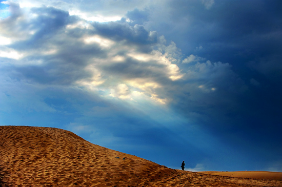 ��ħ�����Ĺ�����-��������