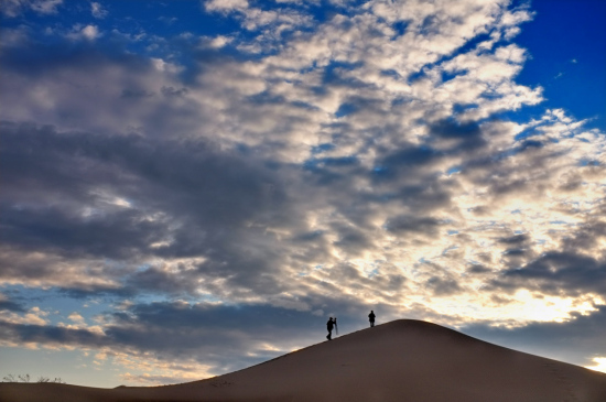 ��ħ�����Ĺ�����-��������