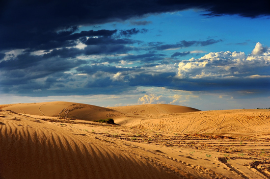 ��ħ�����Ĺ�����-��������