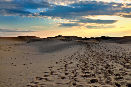 ��ħ�����Ĺ�����-��������