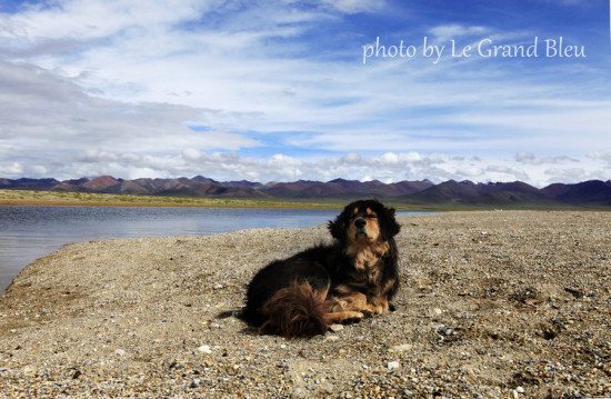 ����������-��Ȼ�羰