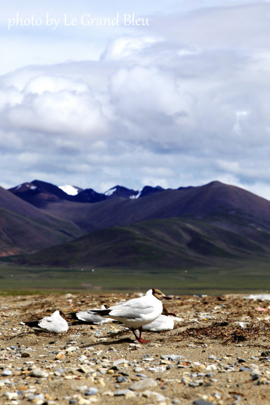 ����������-��Ȼ�羰