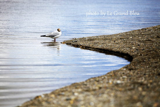 ����������-��Ȼ�羰