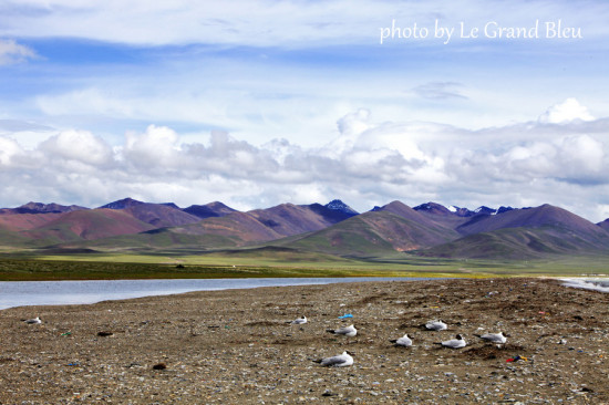 ����������-��Ȼ�羰