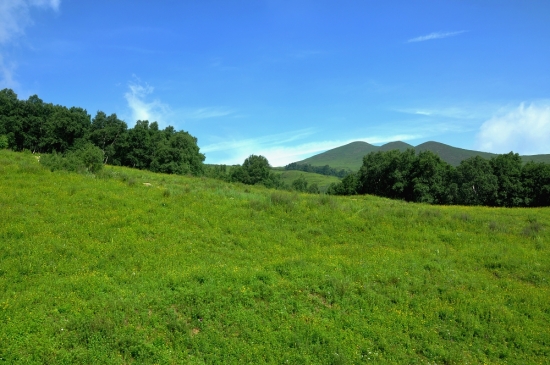 ������ɽ���-��������