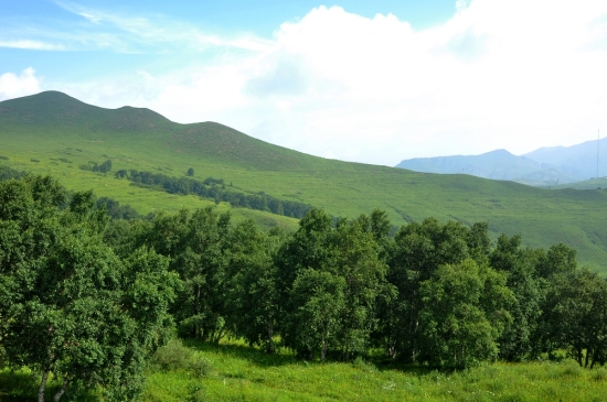 ������ɽ���-��������