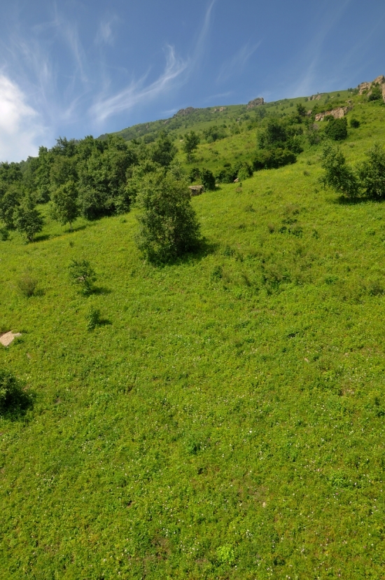 ������ɽ���-��������