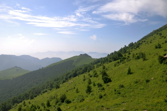 ������ɽ���-��������