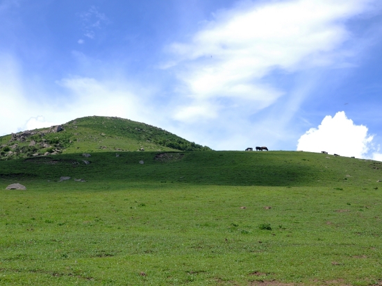 ������ɽ���-��������